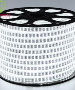 Alternative view of LED dây 2835 hắt trần cao cấp cuộn 100m